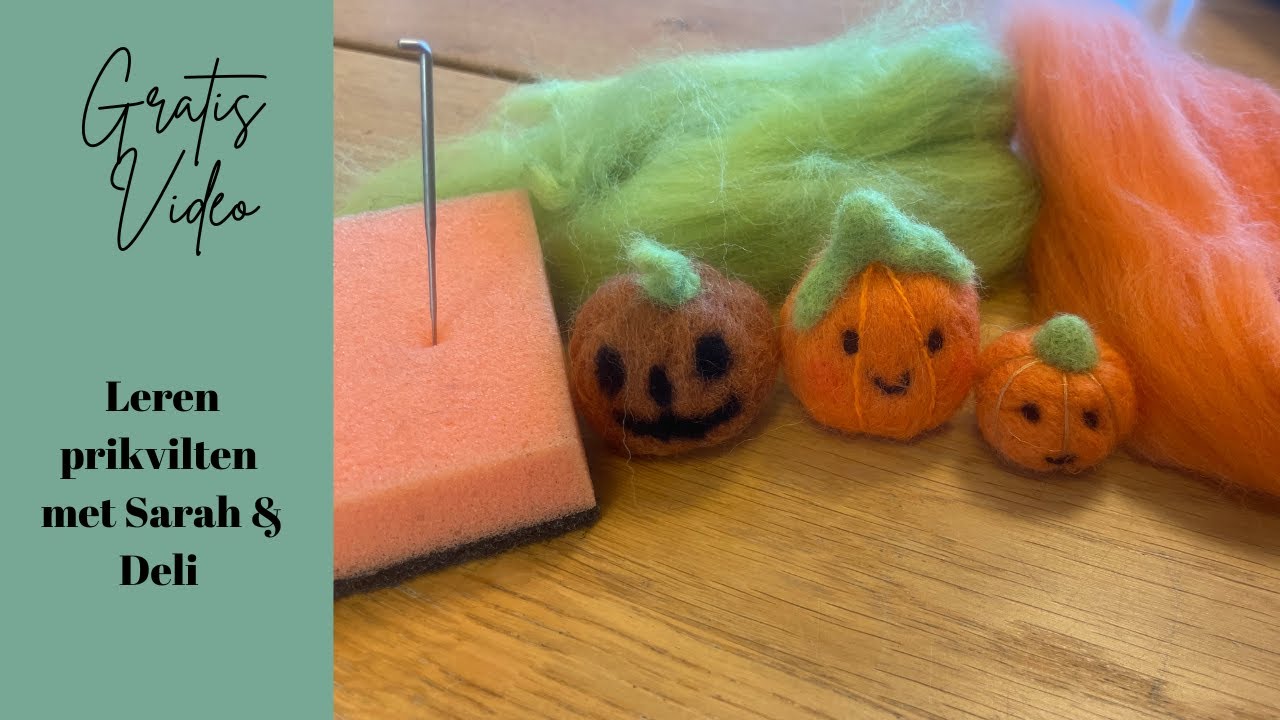 Gratis video | Leren prikvilten met Sarah & Deli