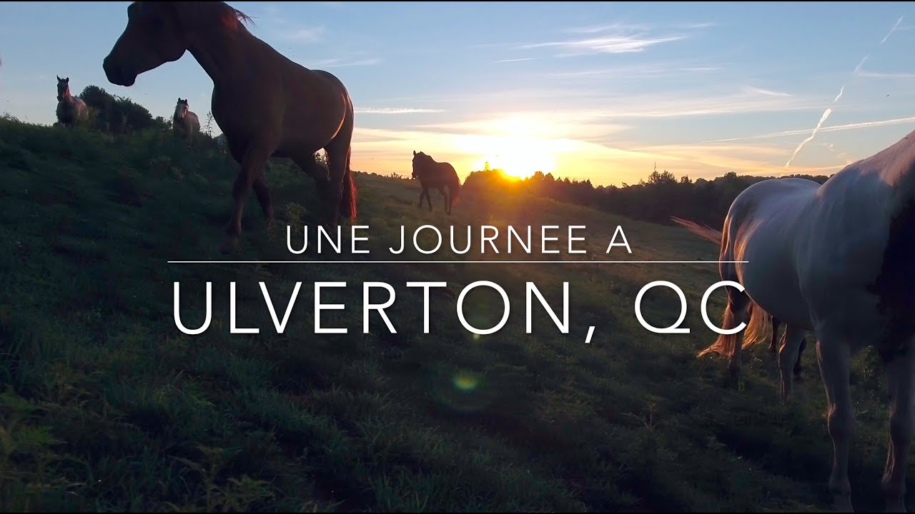 Camping Ferme Pegasus S.E.N.C. Ulverton Qc