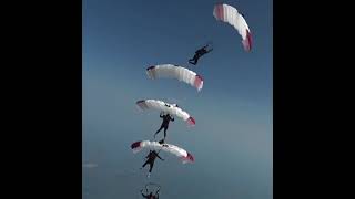 Qatar Nationnal Canopy Formation Team