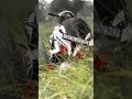 RS200... #youtubeshorts #automobile #remix #rider #youtube #yiutubeindia @YouTube #youtuber
