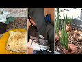 My vlog |Dubai cold weather |my husband’s creative farming 😜|#vlog#newvlog #dubai #youtubevideo 