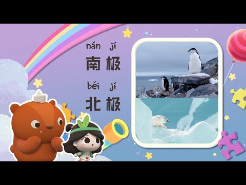 幼儿科普丨认识动物 |地球的南极北极有什么区别？| Preschool Learning Cartoons |basic science concepts for kids