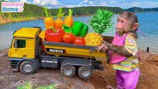 Bibi Harvests Fruit At The Farm And Relaxes At The Swimming Pool