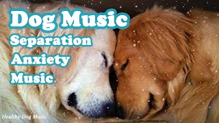 Play this song for your dog,, Separation Anxiet, 3 Hours soothing dog music, Healing music