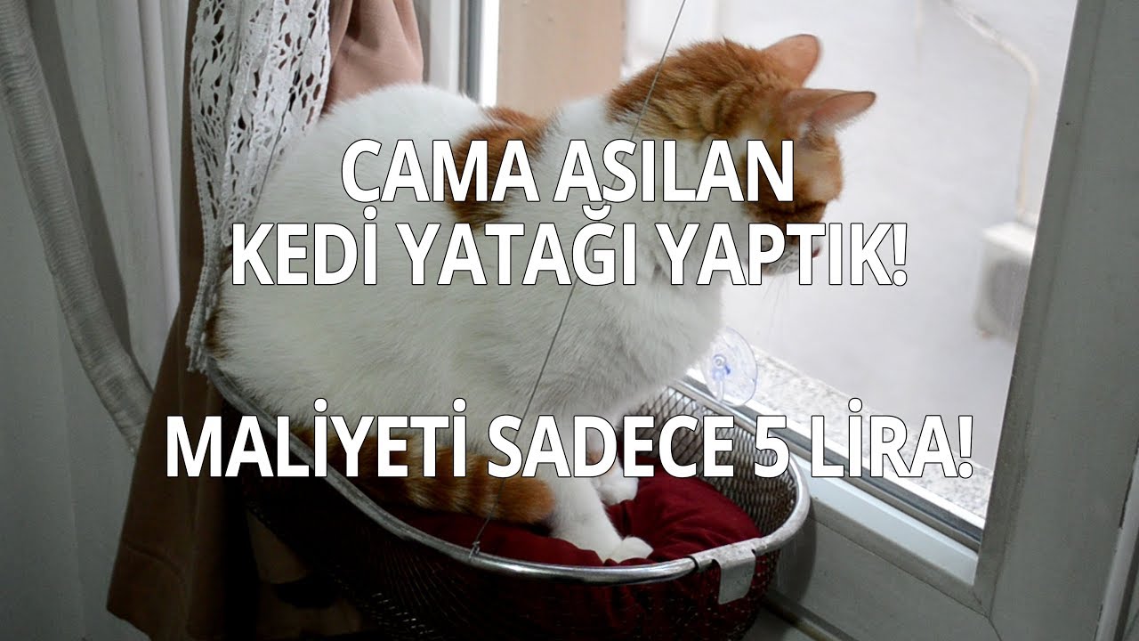 Cama Asilan Kedi Yatagi Nasil Yapilir Maliyeti Sadece 5 Lira Youtube