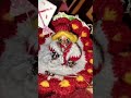 basant panchami laddu gopal status video viral video #funny #trending ❣️❣️