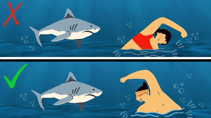 13 Tips On How To Survive Wild Animal Attacks