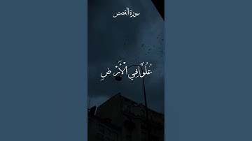 استمع لأجمل تلاوة نادرة من سورة القصص بصوت الحصري تهز المشاعر