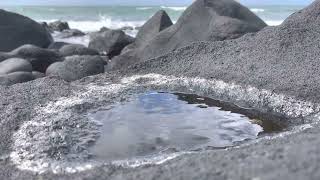Video footage of a salt water puddle evaporating in the sun!