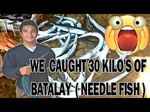 Video: Paano Magpatayan Ng Walleye