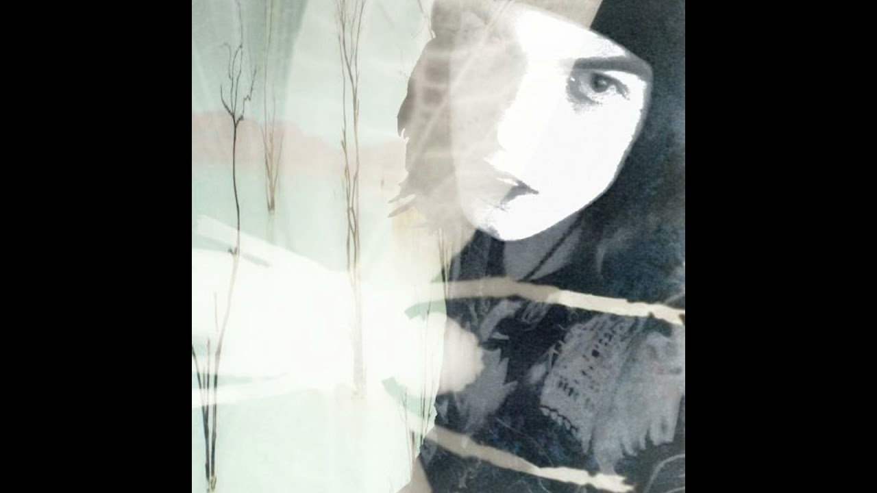 frontflip - faeworld (prod. shinsou x vistaa)