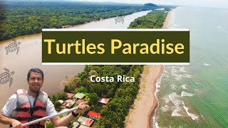 Little Amazons || Tortuguero, Limón , Costa Rica Little Amazons || Tortuguero, Limón , Costa Rica