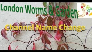 Channel Name Change