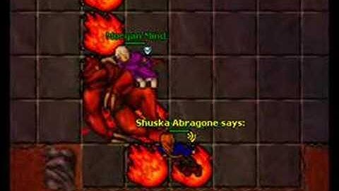 Harmonia, shuskas life movie