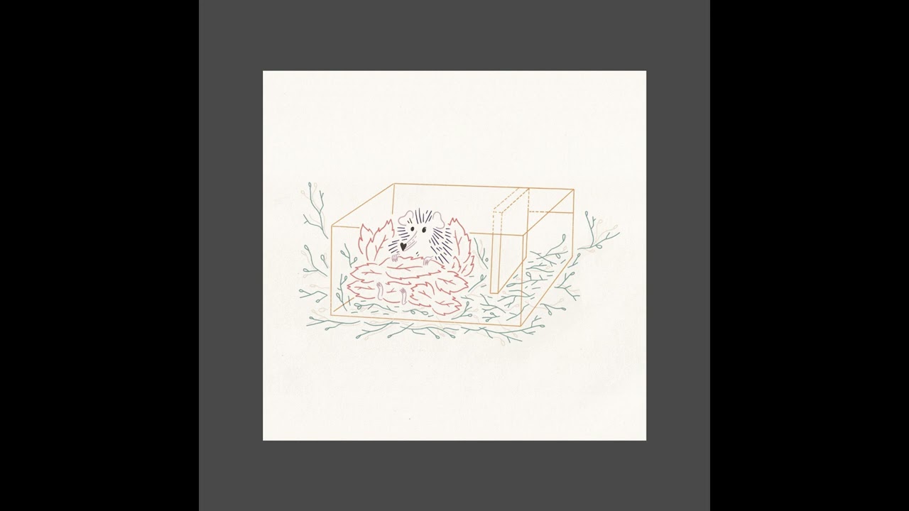 Guarda Shuttle - Blind su YouTube Guarda Shuttle - Blind su YouTube