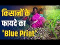 Budget 2026: किसानों की दिक्कतें उजागर, नई रणनीति से बढ़ेगी कमाई! Delhi Azadpur Mandi