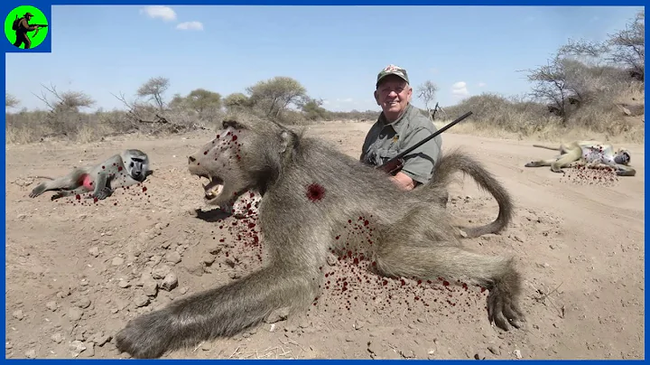 How Do Florida Hunters Deal With Millions Of Wild Monkeys And Invasive Species | Farming Documentary