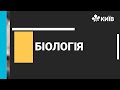 Біологія, 8 клас, Обмін Речовин, 24.11.2020 - #Відкритийурок