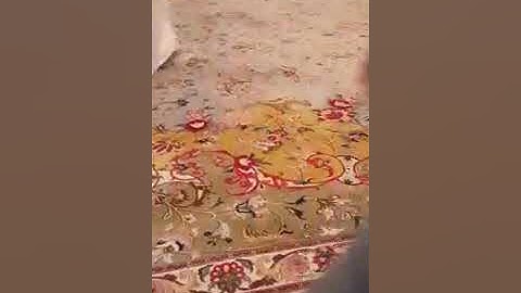 تلاوة المقرئ يوسف البلوشي