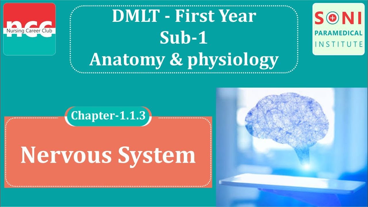 DMLT 1.1.3 – Nervous system
