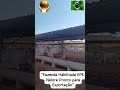 Nelore Vivo para Exportação | Como Funciona a Fazenda Habilitada EPE