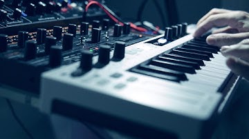 #11 Behringer Model D + Crave  + Korg Minilogue XD + Impro