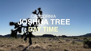 Joshua tree national park day time ...