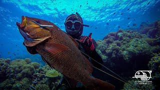 NEW DIVE SPOT! || STONED RED SNAPPERS! || SPEARFISHING PHILIPPINES