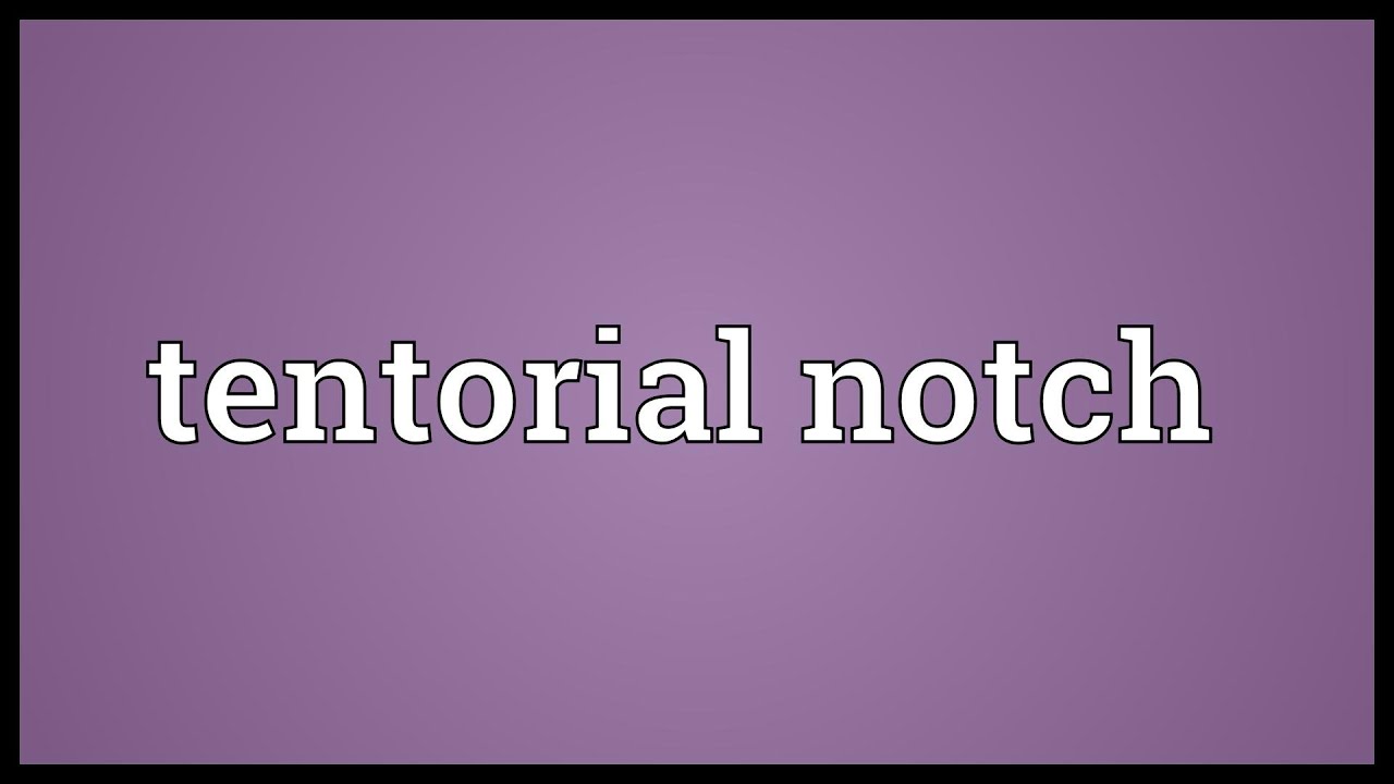 Tentorial notch Meaning YouTube