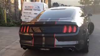 BLUEMAX WINDOW TINT LIVERMORE CA