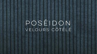 Tissu velours côtelé Poséidon Didier Dassonville