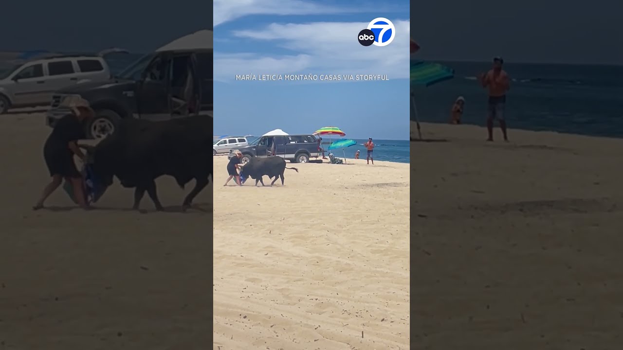 Bull Attacks Person On Mexican Beach As Onlookers Scream