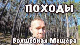 видео: Поход по мещерским лесам. картинка: Поход по мещерским лесам.