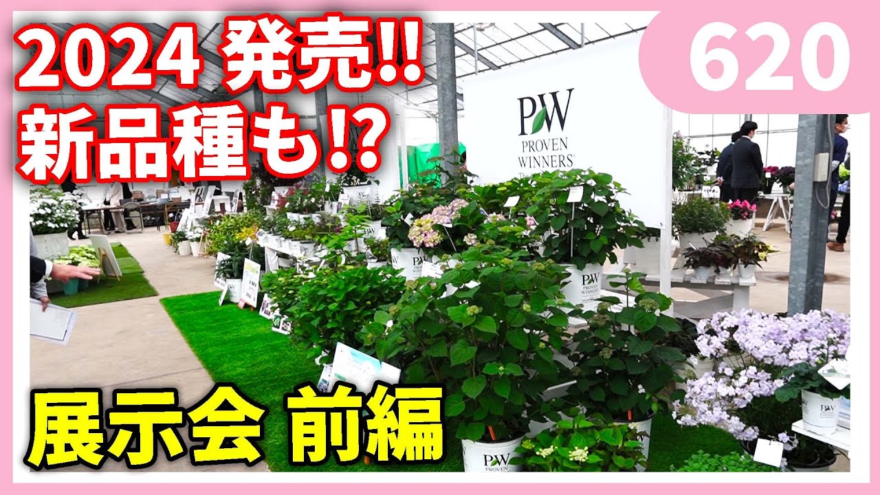PW Hakusan Exhibition Part 1 by Gardening Channel 620-1 Gardening
