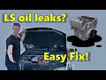 Holden Calais V8 - Fixing LS engine Oil Leaks