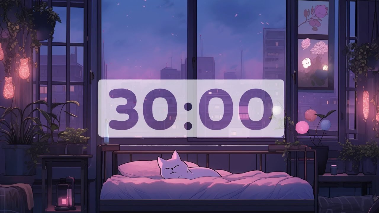 Lofi Timer 30 Minutes YouTube