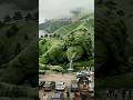 #music #nature #love #explore #beautiful #song #naturelovers #subscribe #trendingshorts
