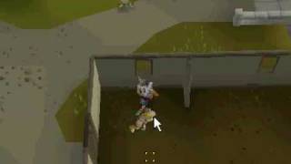 The Greatest AGS Spec Ever (88)