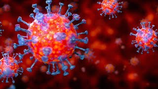 How Coronavirus Has Changed The World - BBC Click