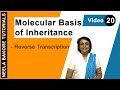 Molecular Basis of Inheritance - Reverse Transcription