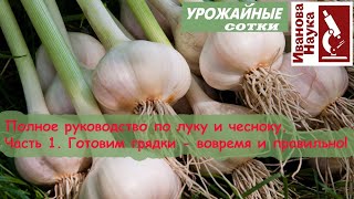 Хитрая посадка чеснока и лука для большого урожая - годится и для поздних сроков!