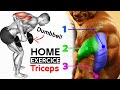 تمارين الترايسبس بالدمبل بطرق مختلفة وفعالة |  🔥Triceps workout 🔥