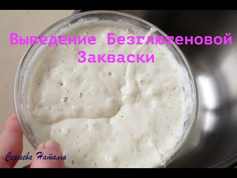 Выведение Безглютеновой Закваски