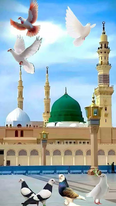 muslmoano sambil joyo y dunia jany vali ha #shortsviral #shortsfeed #shortvideos