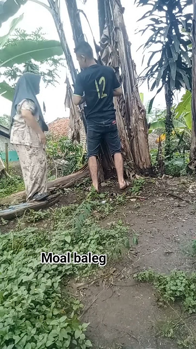 Download lagu gagal mendarat..melenceng ges #comedy #memengakakkocak #seharianlucu #ngkak