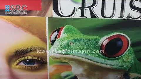 Máy in Decal, PP, Canvas, Silk,... Mực Dầu | Máy in decal khổ 2.5m | Xkeda F2500