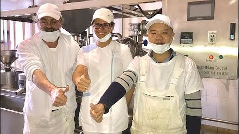 soymilk and tofu making machine testing, debugging, teaching in Hungary (62.5kg dry bean/hour)