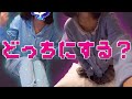 いろんなパジャマみせちゃう