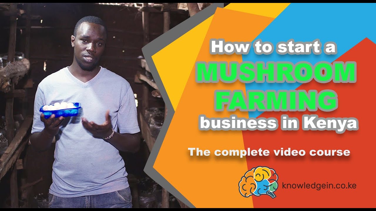 How To Start A Mushroom Farming Business In Kenya YouTube