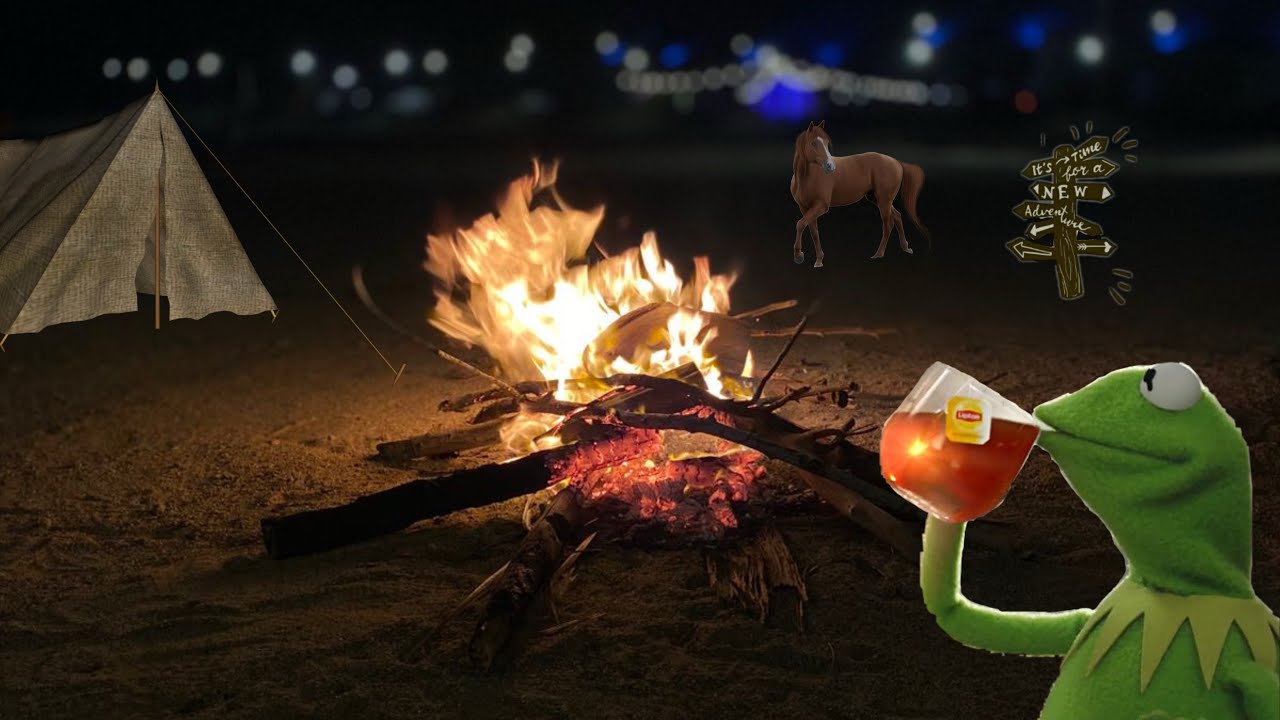 مخيم | الكثير من الشواء ~ أحصنة ~ ألعاب وفعاليات